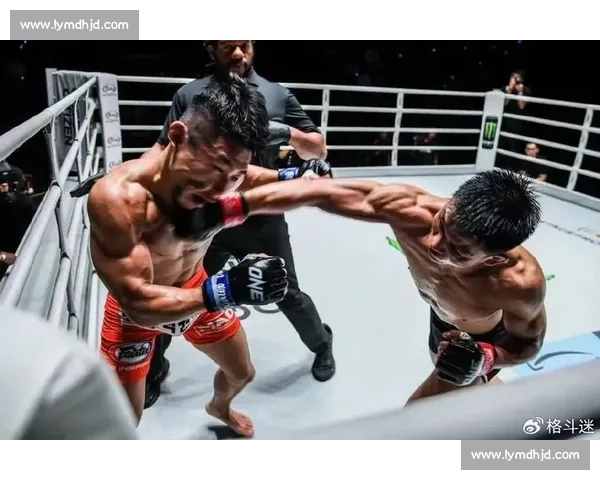 邱建良VS嘴炮世纪对决格斗规则实力风格全面解析胜负预测赛场看点